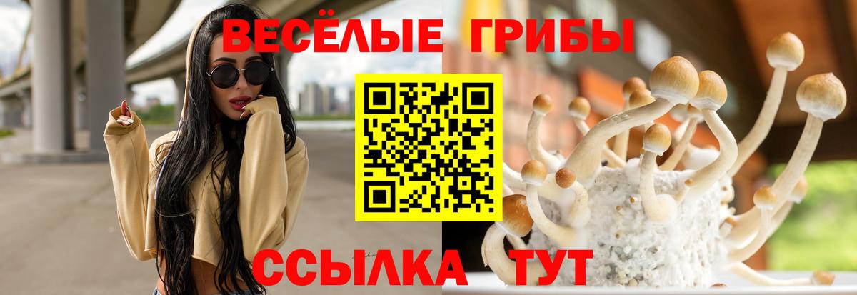 Галлюциногенные грибы MAGIC MUSHROOMS Якутск